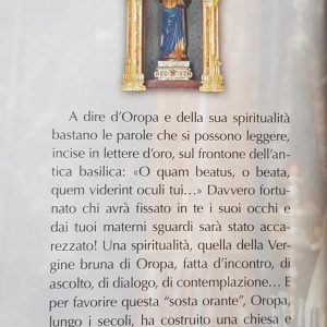 La Vergine Bruna di Oropa libro